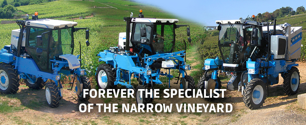 FOREVER THE SPECIALIST OF THE NARROW VINEYARD